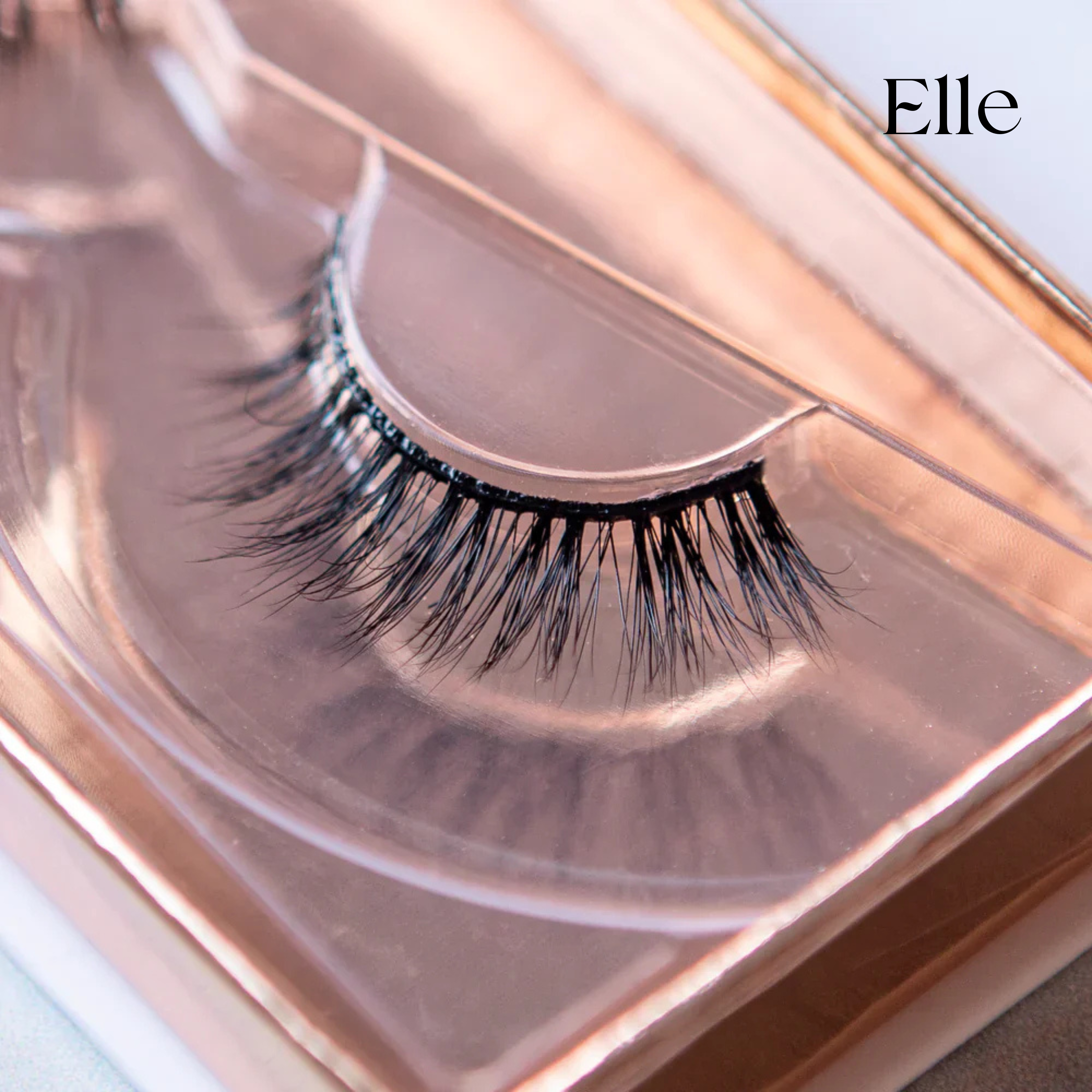 Premium Strip Lashes Bundle & Save