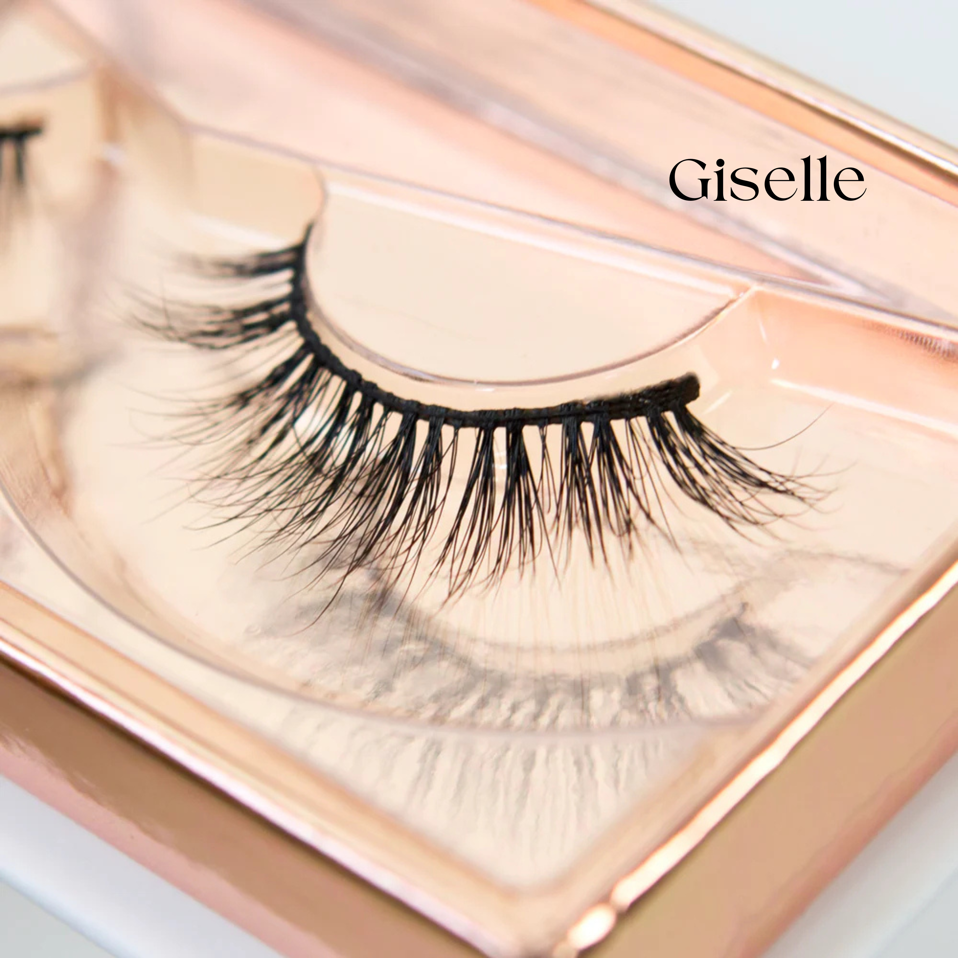 Premium Strip Lashes Bundle & Save
