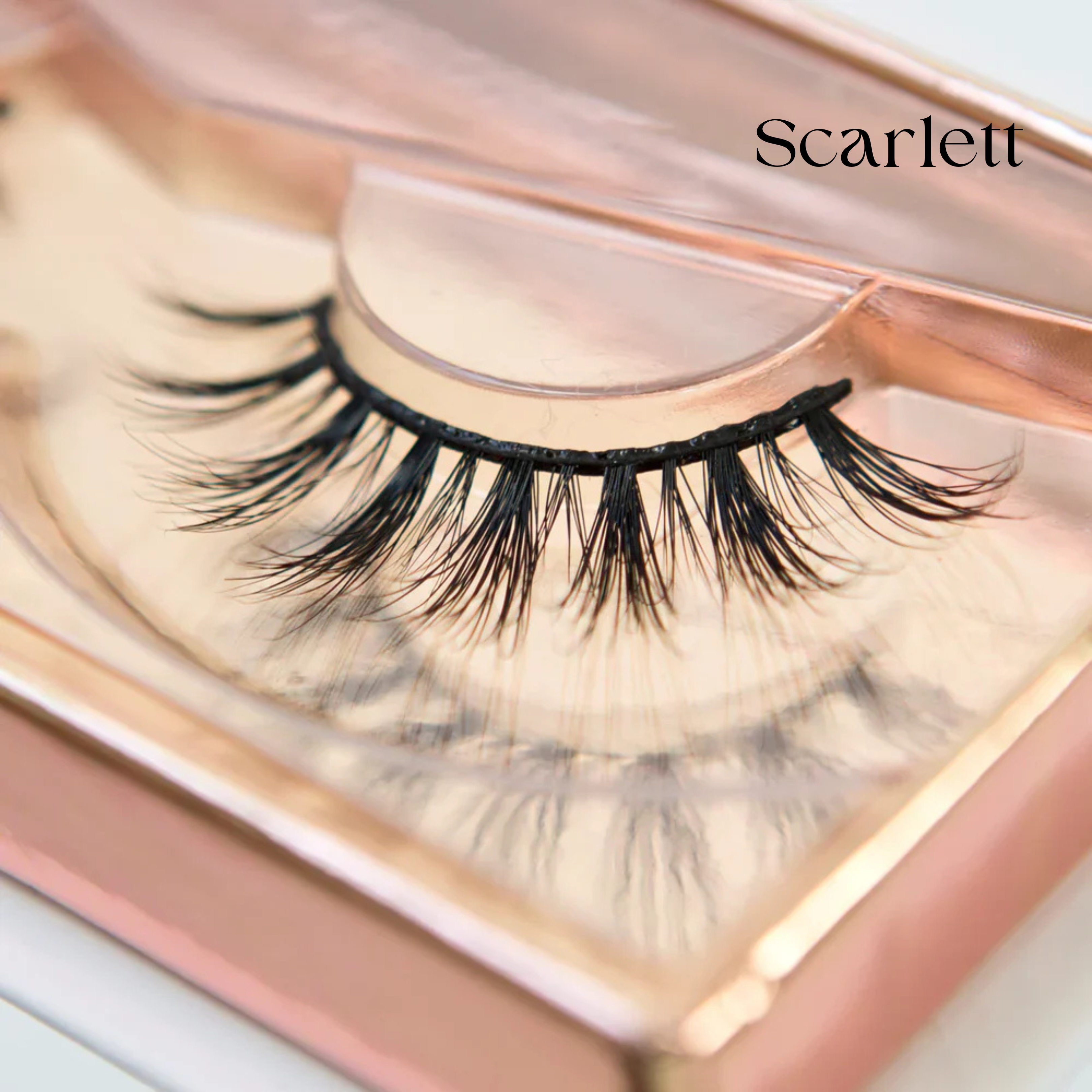 Premium Strip Lashes Bundle & Save