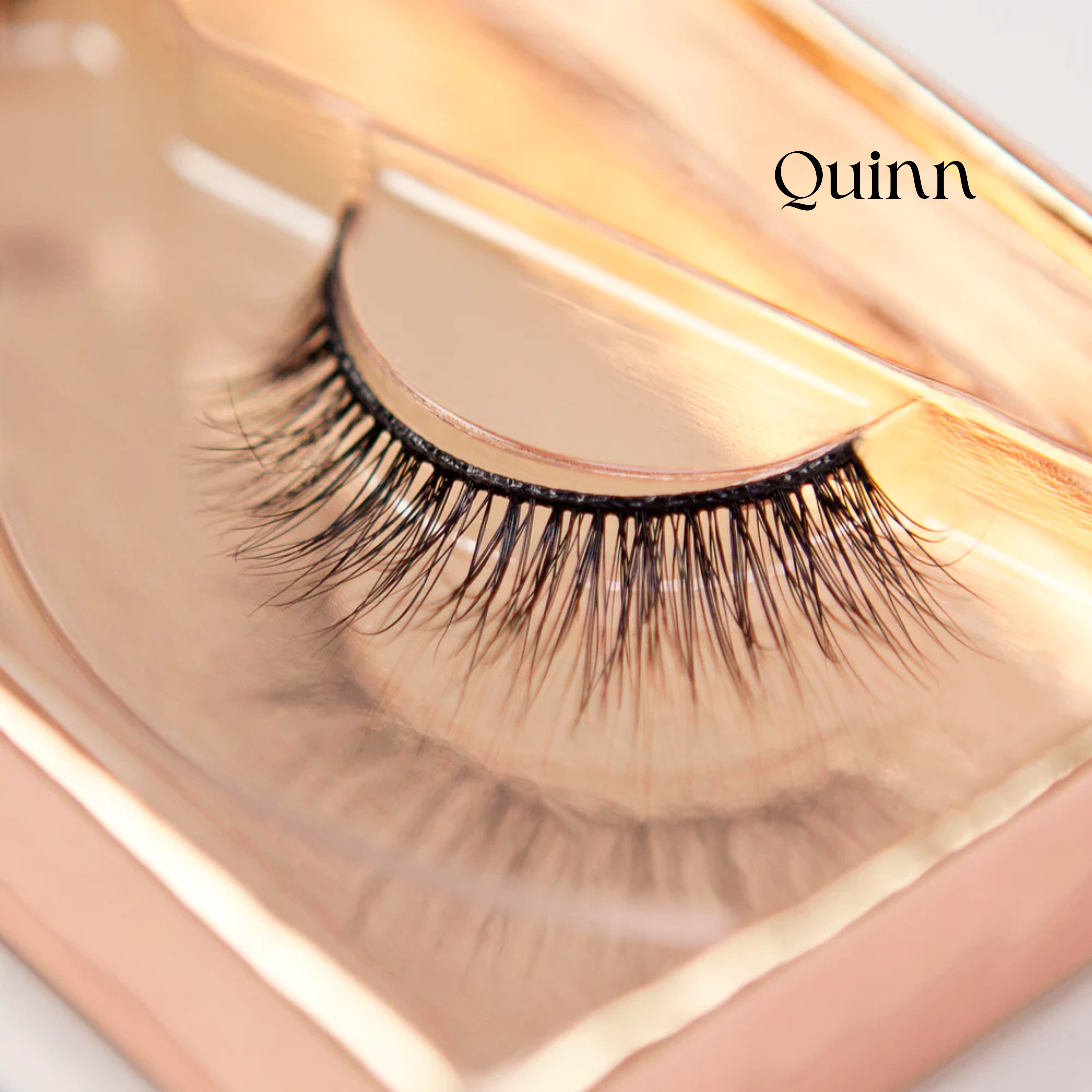 Premium Strip Lashes Bundle & Save