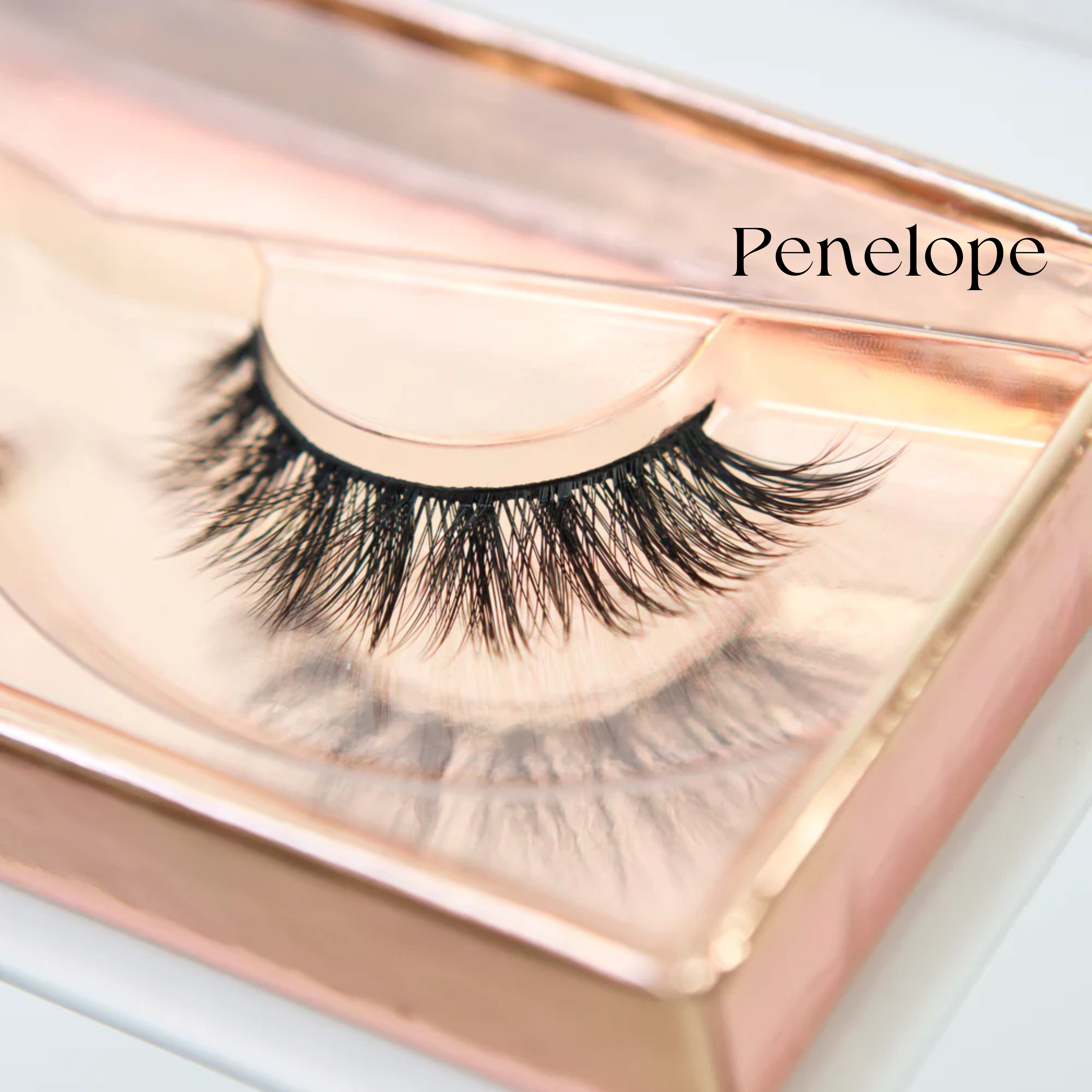 Premium Strip Lashes Bundle & Save