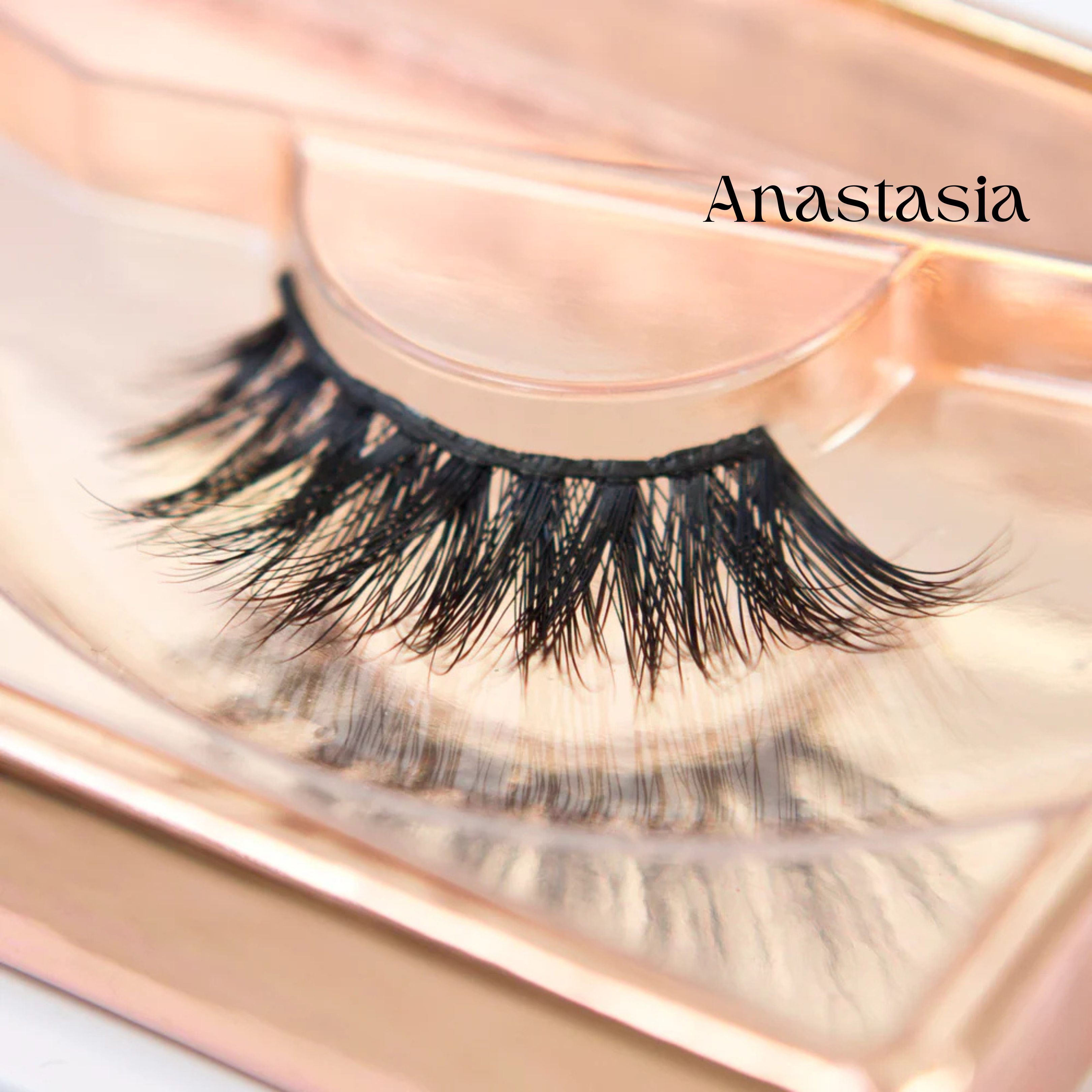 Premium Strip Lashes Bundle & Save